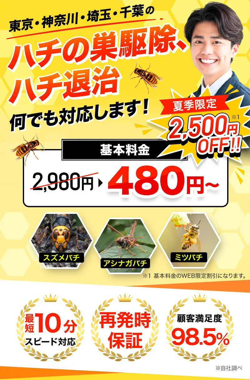 東京・神奈川・埼玉・千葉のハチの巣駆除 ハチ退治、即日解決します!基本料金500円~+駆除費用今だけWEB割引 2,000円OFF!ハチ駆除・ハチ撃退・ハチ退治・ハチの巣駆除・ハチの巣退治・ハチの巣撤去・ハチの巣除去・ハチの巣処理・蜂駆除・蜂撃退・蜂退治・蜂の巣駆除・蜂の巣退治・蜂の巣撤去・蜂の巣除去・蜂の巣処理